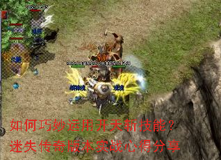 ����������ÿ���ն���ܣ���ʧ����汾ʵս�ĵ÷���