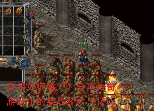 �����������������������Ϸ�е�ʵս�����뼼��