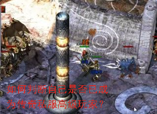 ����ж��Լ��Ƿ��ѳ�Ϊ����˽���߼���ң�