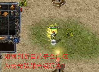 ����ж��Լ��Ƿ��ѳ�Ϊ����˽���߼���ң�