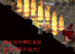 ħ�������������ο�������ս����