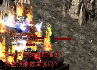 ������վ��ʦְҵ�����漼����������