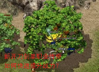 新开刀剑单职业传奇如何快速提升战力? 新开刀剑单职业传奇如何快速提升战力?