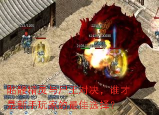 骷髅精灵与尸王对决,谁才是新手玩家的最佳选择? 骷髅精灵与尸王对决,谁才是新手玩家的最佳选择?