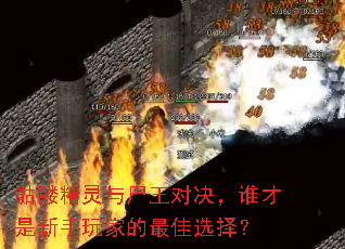 骷髅精灵与尸王对决,谁才是新手玩家的最佳选择? 骷髅精灵与尸王对决,谁才是新手玩家的最佳选择?