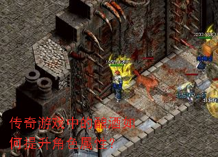 ������Ϸ�е�������������ɫ���ԣ�