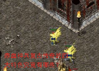 ��Ѫ������Ŵ�����Ĵ���ɫ��������Щ��