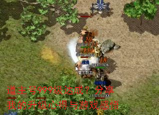 道主号999级达成?分享我的升级心得与游戏感悟 道主号999级达成?分享我的升级心得与游戏感悟