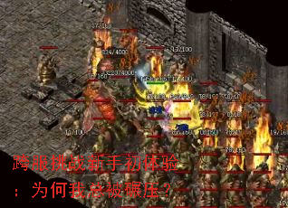 �����ս���ֳ����飺Ϊ�����ܱ���ѹ��