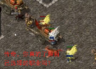 ���棬������˽��Լ�ѡ���ְҵ��