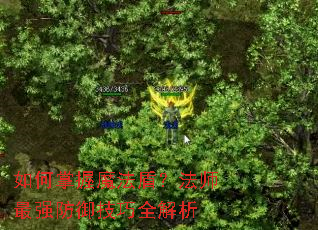 如何掌握魔法盾?法师最强防御技巧全解析 如何掌握魔法盾?法师最强防御技巧全解析