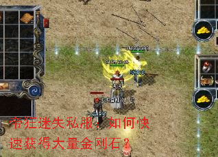 �ۿ���ʧ˽������ο��ٻ�ô������ʯ��