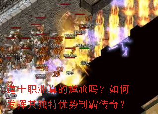 ��ʿְҵ�����������η�������������ưԴ��棿