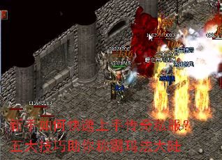 ������ο������ִ���˽�������������ư��귨��½