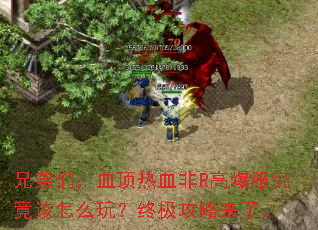 �ֵ��ǣ�Ѫ����Ѫ��R�߱�����������ô�棿�ռ��������ˡ�