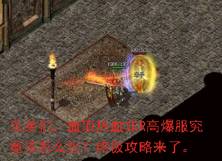 �ֵ��ǣ�Ѫ����Ѫ��R�߱�����������ô�棿�ռ��������ˡ�