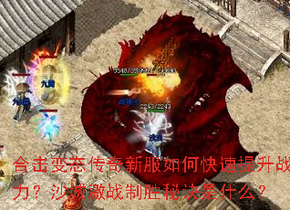 �ϻ���̬�����·���ο�������ս����ɳ�Ǽ�ս��ʤ�ؾ���ʲô��