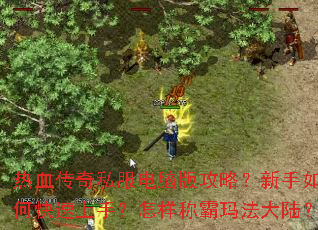 ��Ѫ����˽�����԰湥�ԣ�������ο������֣������ư��귨��½��