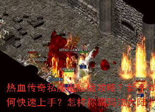 ��Ѫ����˽�����԰湥�ԣ�������ο������֣������ư��귨��½��