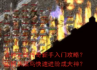 诸神之战传奇新手入门攻略?如何从菜鸟快速进阶成大神? 诸神之战传奇新手入门攻略?如何从菜鸟快速进阶成大神?