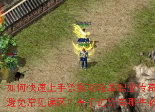 ��ο�������ɱ¾߳�嵥ְҵ���棿������α��ⳣ�����������ֽ�������Щ�ر����ɣ�