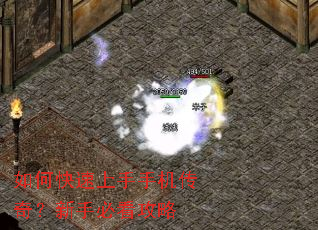 ��ο��������ֻ����棿���ֱؿ�����