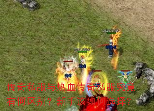 ����˽������Ѫ����˽�������к��������ָ����ѡ��