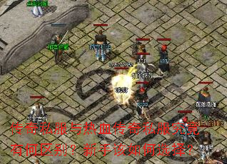 ����˽������Ѫ����˽�������к��������ָ����ѡ��