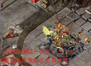 ��ο��������ȼ�����ɽ�������Ŵ������ֱؿ�����