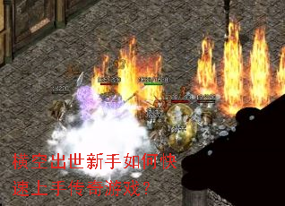 ��ճ���������ο������ִ�����Ϸ��