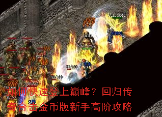 ��ο��ٵ����۷壿�ع鴫��ϻ���Ұ����ָ߽׹���