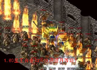 1.80�����ϻ���ο��������ȼ���