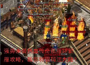 ǿ����Ϯ��Ѫ����˽��SF�·����ԣ�����ư��귨��½��