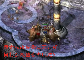 ����˽�����߹�������δ��켫�±�̬�淨��