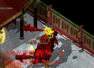 ����˽�����߹�������δ��켫�±�̬�淨��