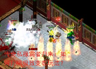 ����˽�����߹�������δ��켫�±�̬�淨��