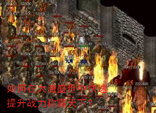 ����ڴ���ʢ���п�������ս���ư����£�