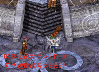 BOSS֮���������ţ���ο�����ս����BOSS��