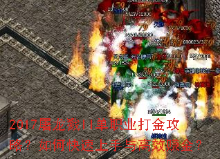 2017����¾II��ְҵ����ԣ���ο����������Ч׬��