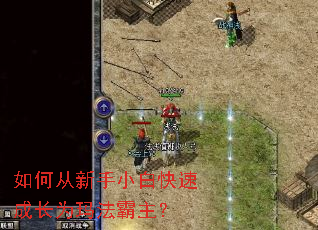 ��δ�����С�׿��ٳɳ�Ϊ�귨������