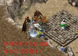 ��δ�����С�׿��ٳɳ�Ϊ�귨������