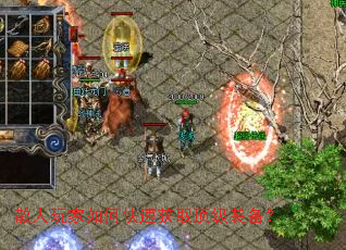 ɢ�������ο��ٻ�ȡ����װ����