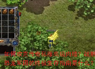 ��ι��˴���˽���߼���ǽ��սʤ�������ŵ��ռ�����ָ����ʲô��