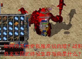 ��ι��˴���˽���߼���ǽ��սʤ�������ŵ��ռ�����ָ����ʲô��