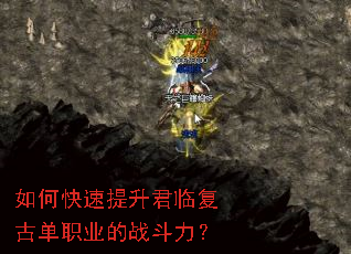 ��ο����������ٸ��ŵ�ְҵ��ս������