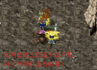 ��λ���������ʮ��������������ֻ�Ϲ����ޣ�