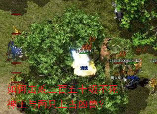 ��λ���������ʮ��������������ֻ�Ϲ����ޣ�