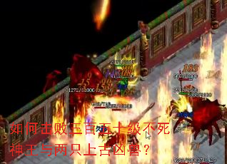 ��λ���������ʮ��������������ֻ�Ϲ����ޣ�