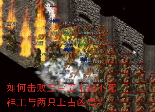 ��λ���������ʮ��������������ֻ�Ϲ����ޣ�