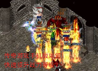 ������Ϸ�ֻ�����ο�������ս���ȼ���